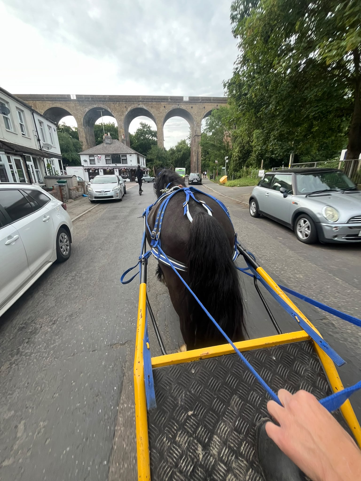 A view from a traditional horse and cart travelling through London.