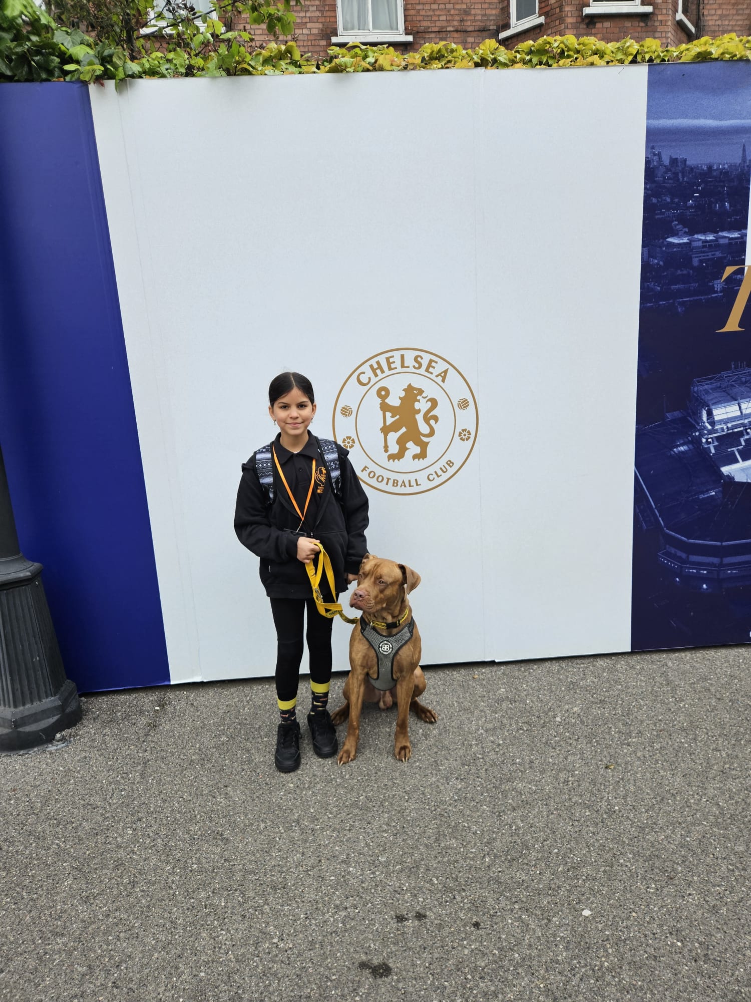 A therapy dog with a handler at a community event.
